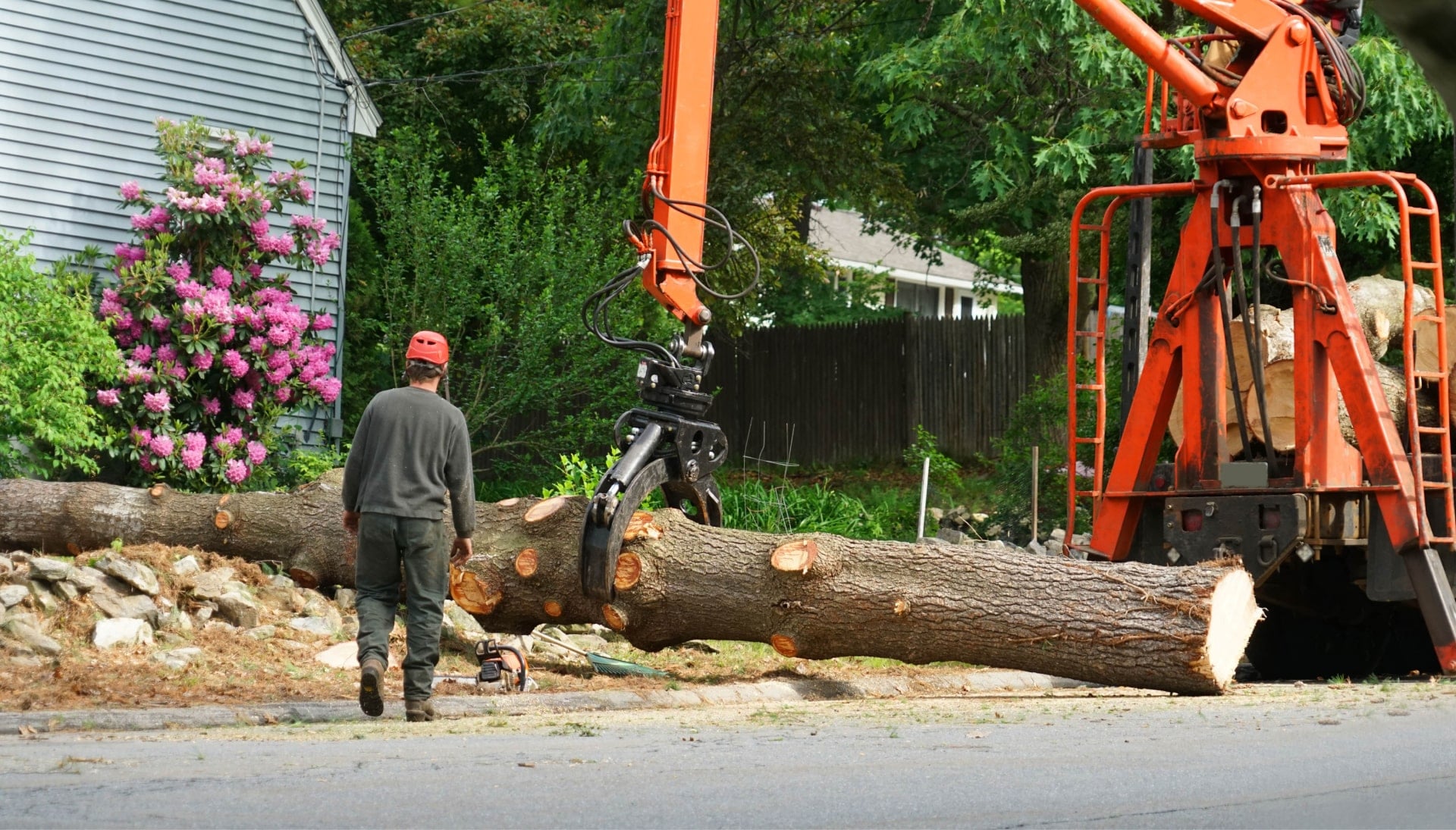 Local partner for Tree removal services in Santa Rosa